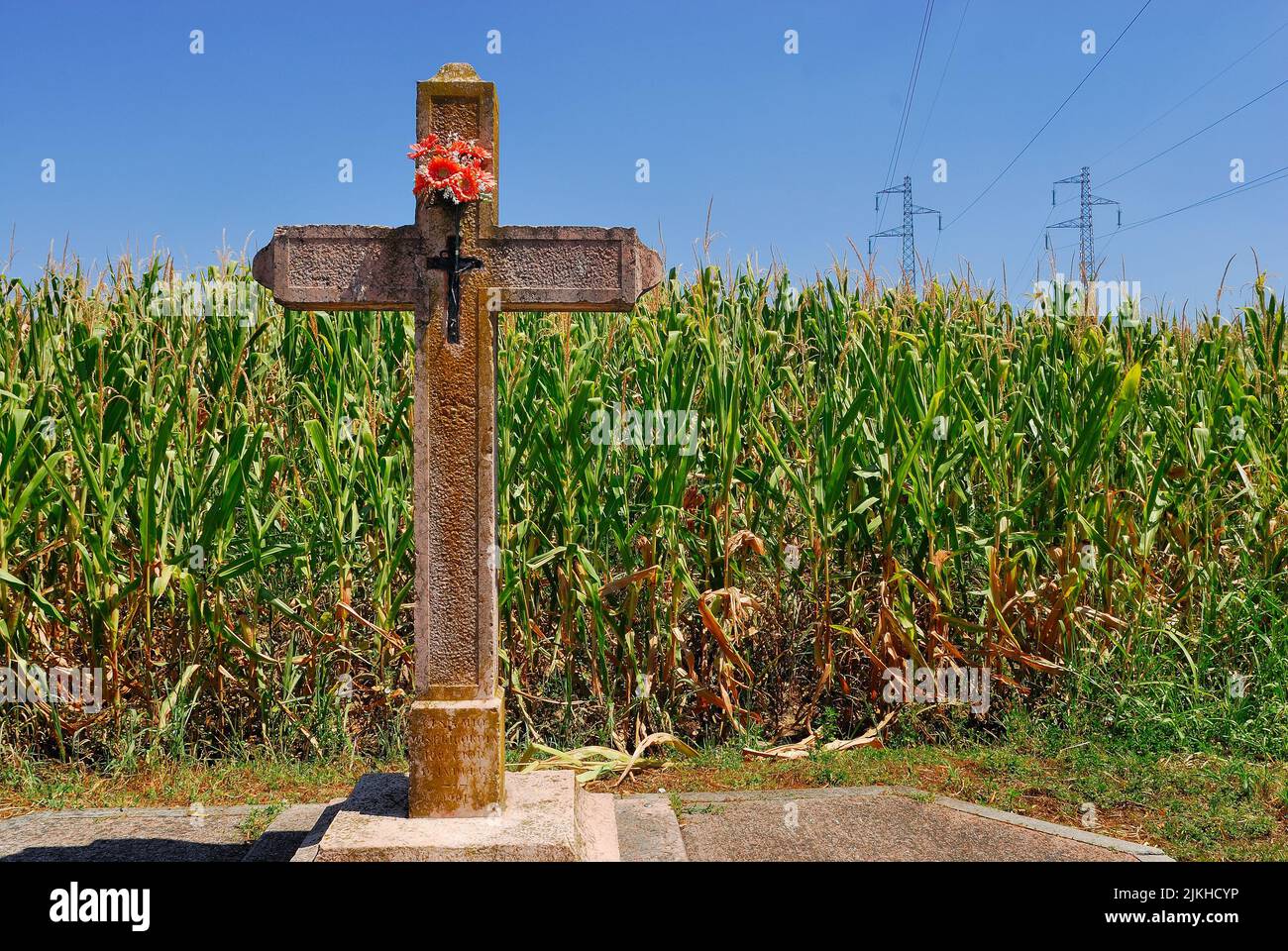 Veneto countryside, The drought affecting Northern Italy shows no sign of abating. After 200 days without rain and a winter without snow, the level of the rivers is at an all-time low. Serious damage to agriculture, two thirds of the maize crop was lost. A stone crucifix in a cornfield. Stock Photo