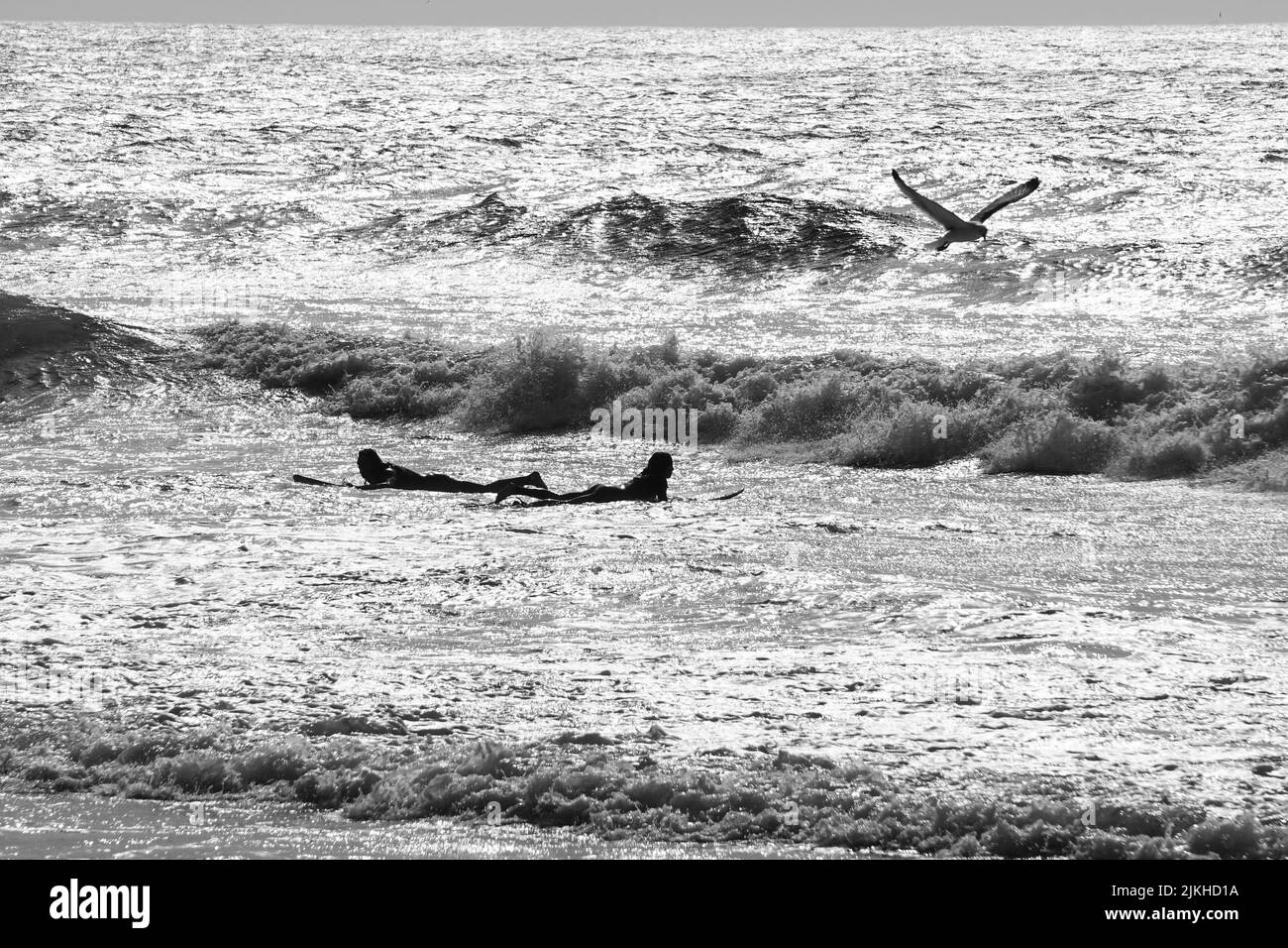 The young surfers catching waves Stock Photo - Alamy