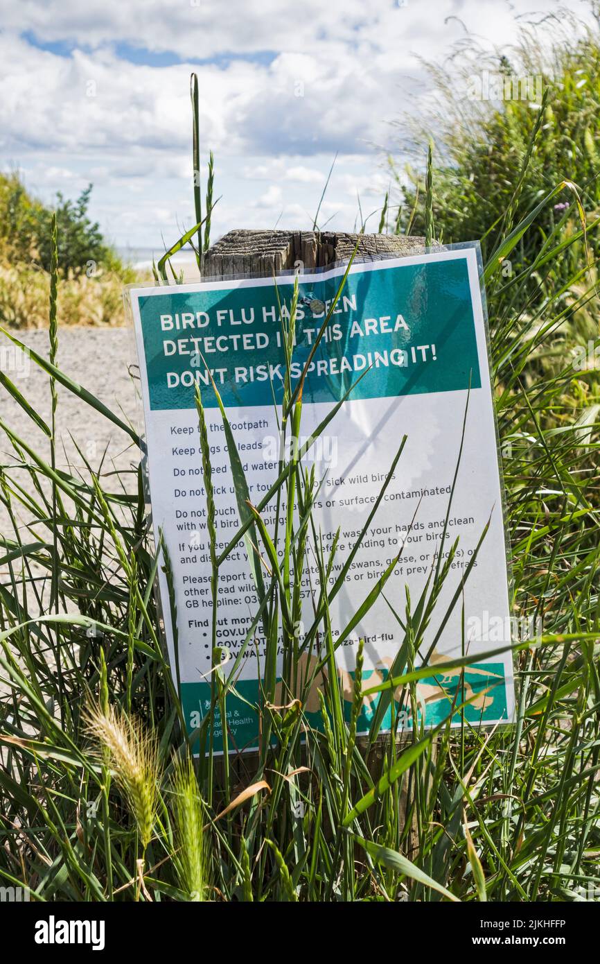 Notice warning of the danger of bird flu at Cambois beach in Northumberland, UK Stock Photo
