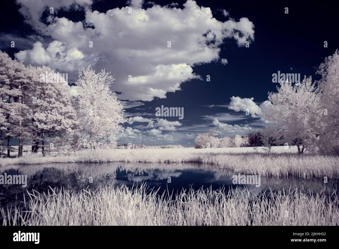 A landscape with snowy trees under sky with clouds Stock Photo - Alamy
