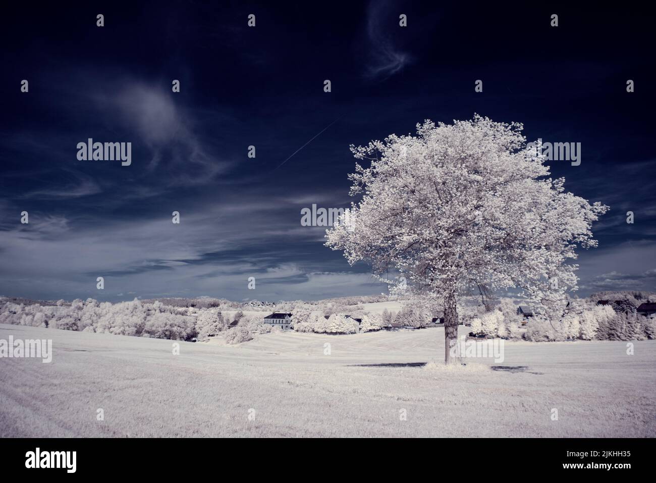 A landscape with snowy trees under sky with clouds Stock Photo - Alamy
