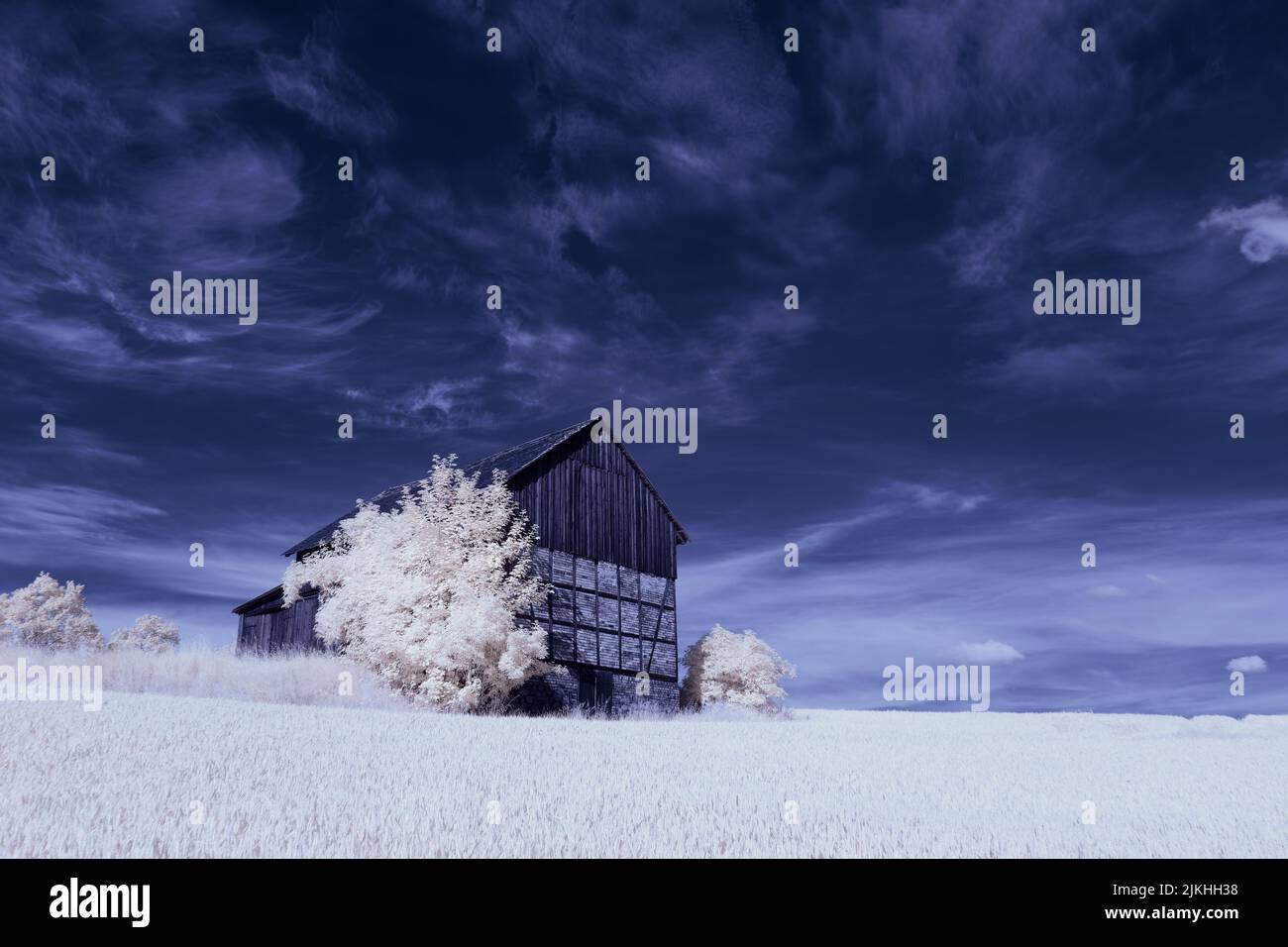 A landscape with snowy trees under sky with clouds Stock Photo - Alamy