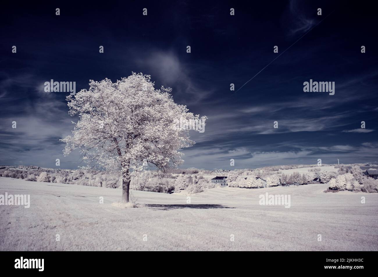 A landscape with snowy trees under sky with clouds Stock Photo - Alamy
