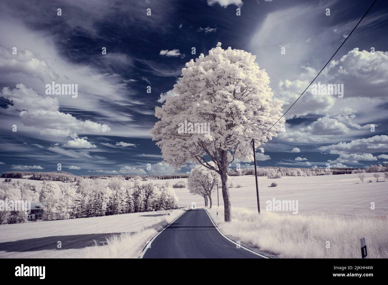 A landscape with snowy trees under sky with clouds Stock Photo - Alamy