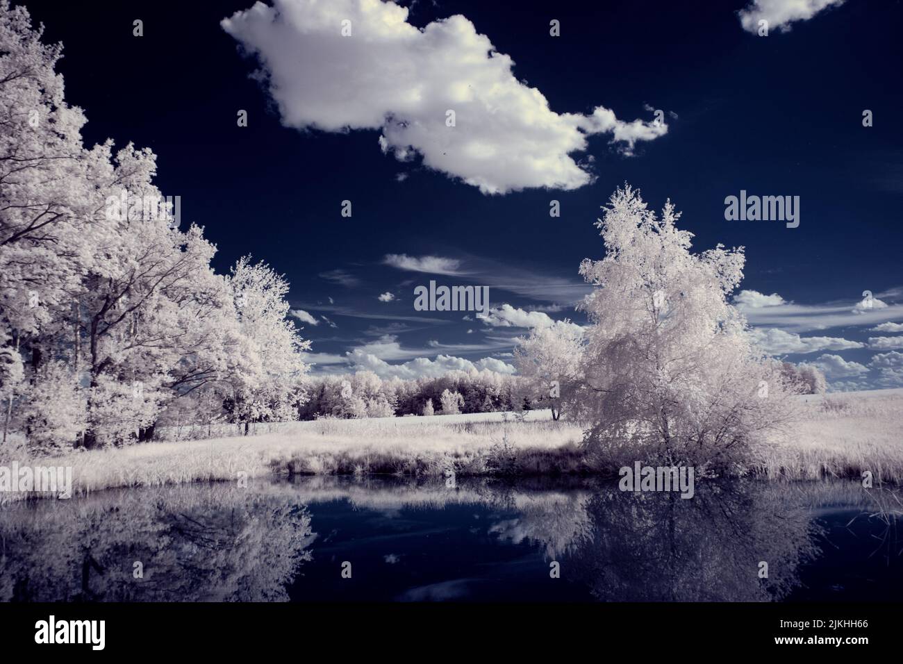 A landscape with snowy trees under sky with clouds Stock Photo - Alamy