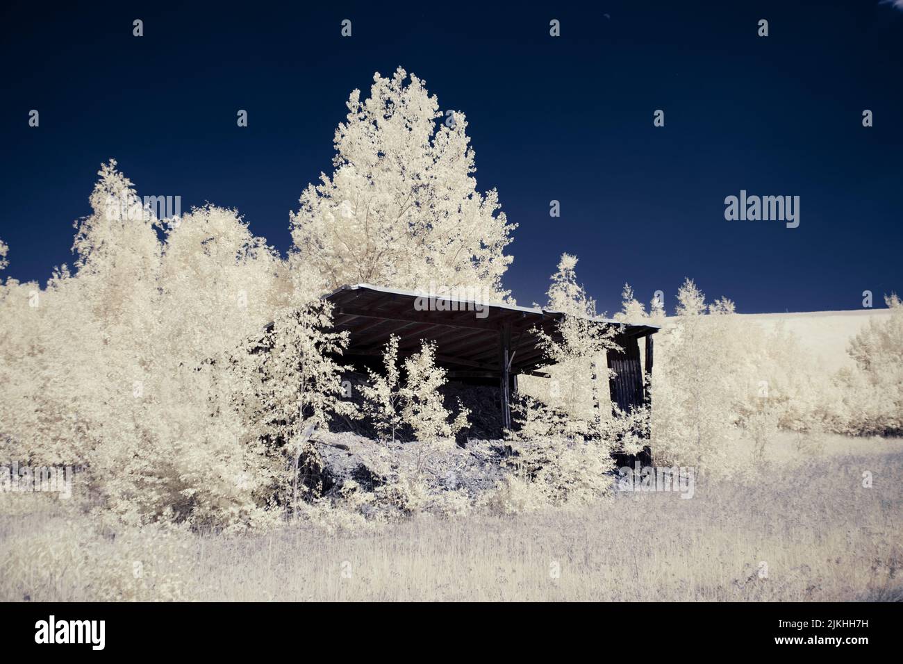 A landscape with snowy trees under sky with clouds Stock Photo - Alamy