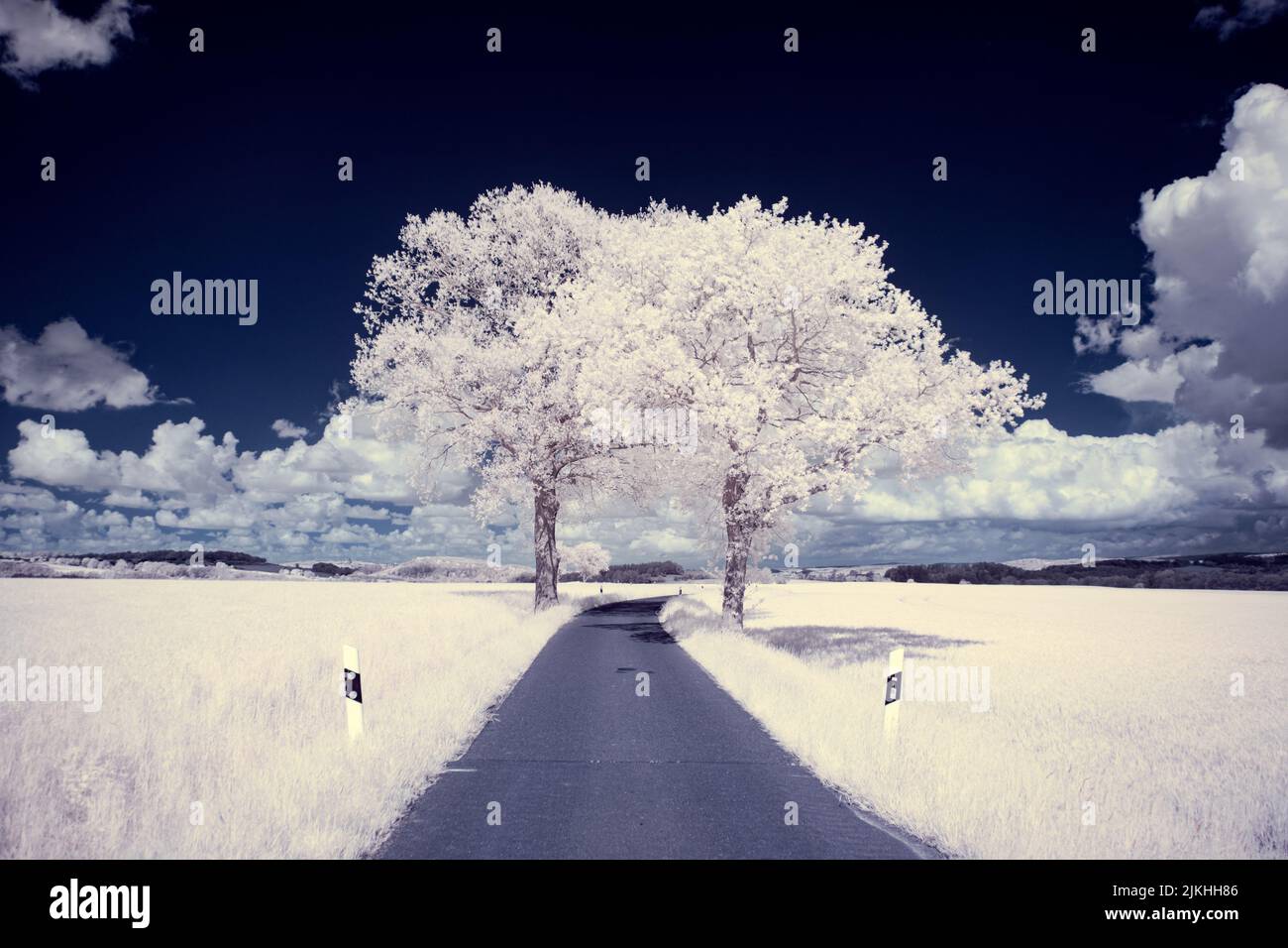 A landscape with snowy trees under sky with clouds Stock Photo - Alamy