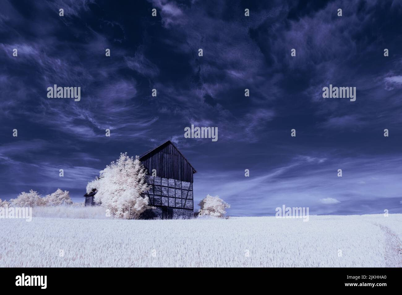 A landscape with snowy trees under sky with clouds Stock Photo - Alamy