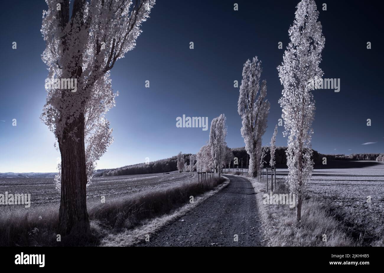 A landscape with snowy trees under sky with clouds Stock Photo - Alamy