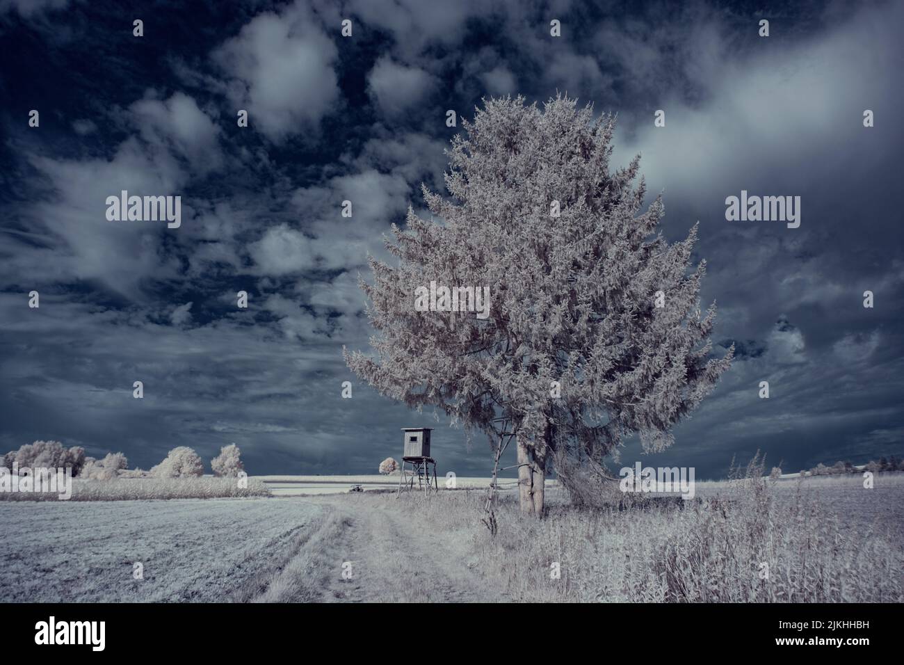 A landscape with snowy trees under sky with clouds Stock Photo - Alamy