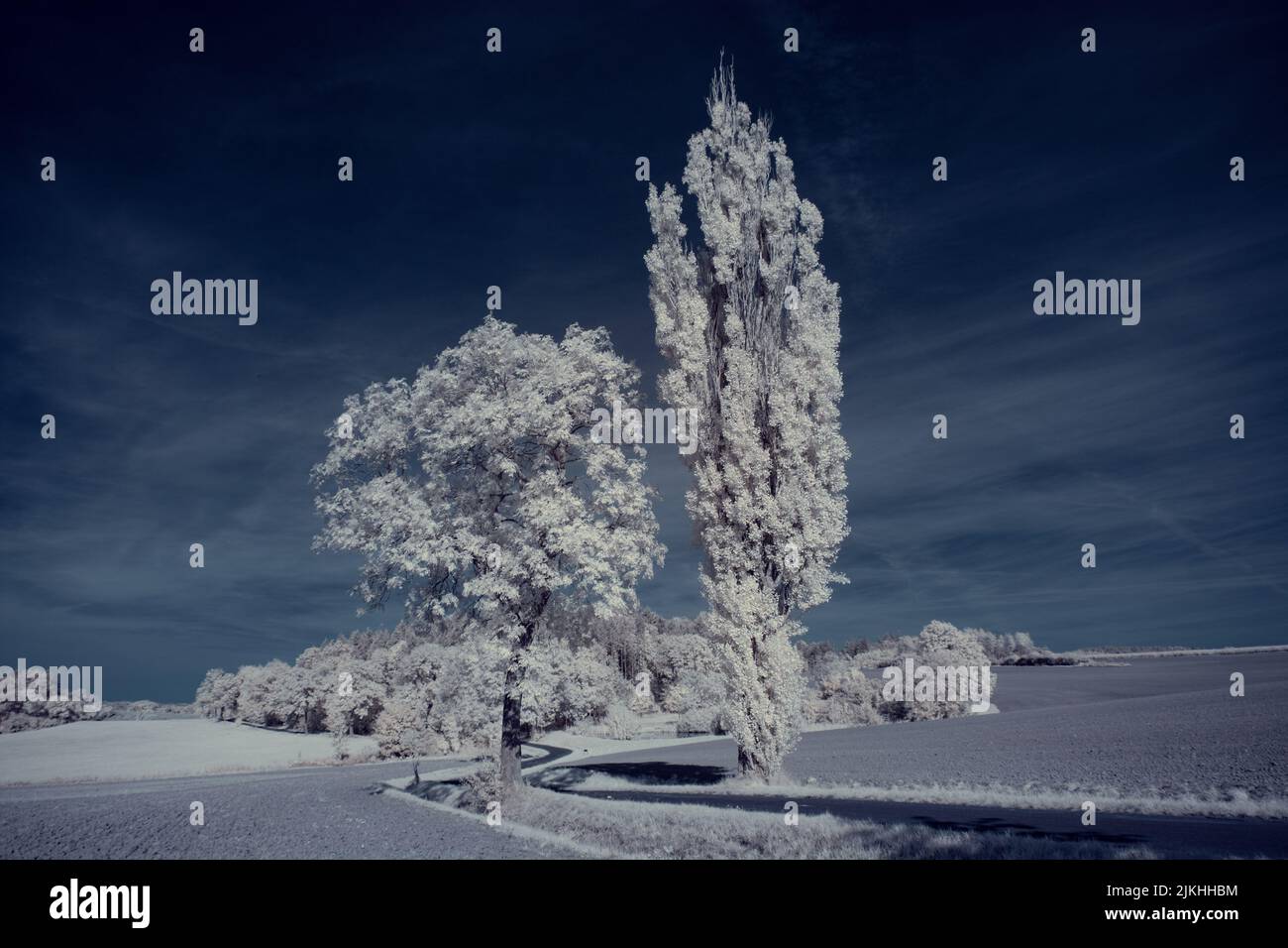 A landscape with snowy trees under sky with clouds Stock Photo - Alamy