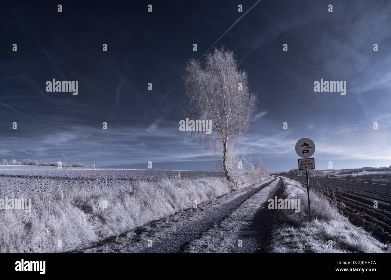 A landscape with snowy trees under sky with clouds Stock Photo - Alamy