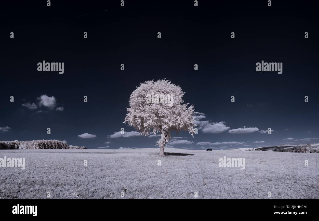 A landscape with snowy trees under sky with clouds Stock Photo - Alamy