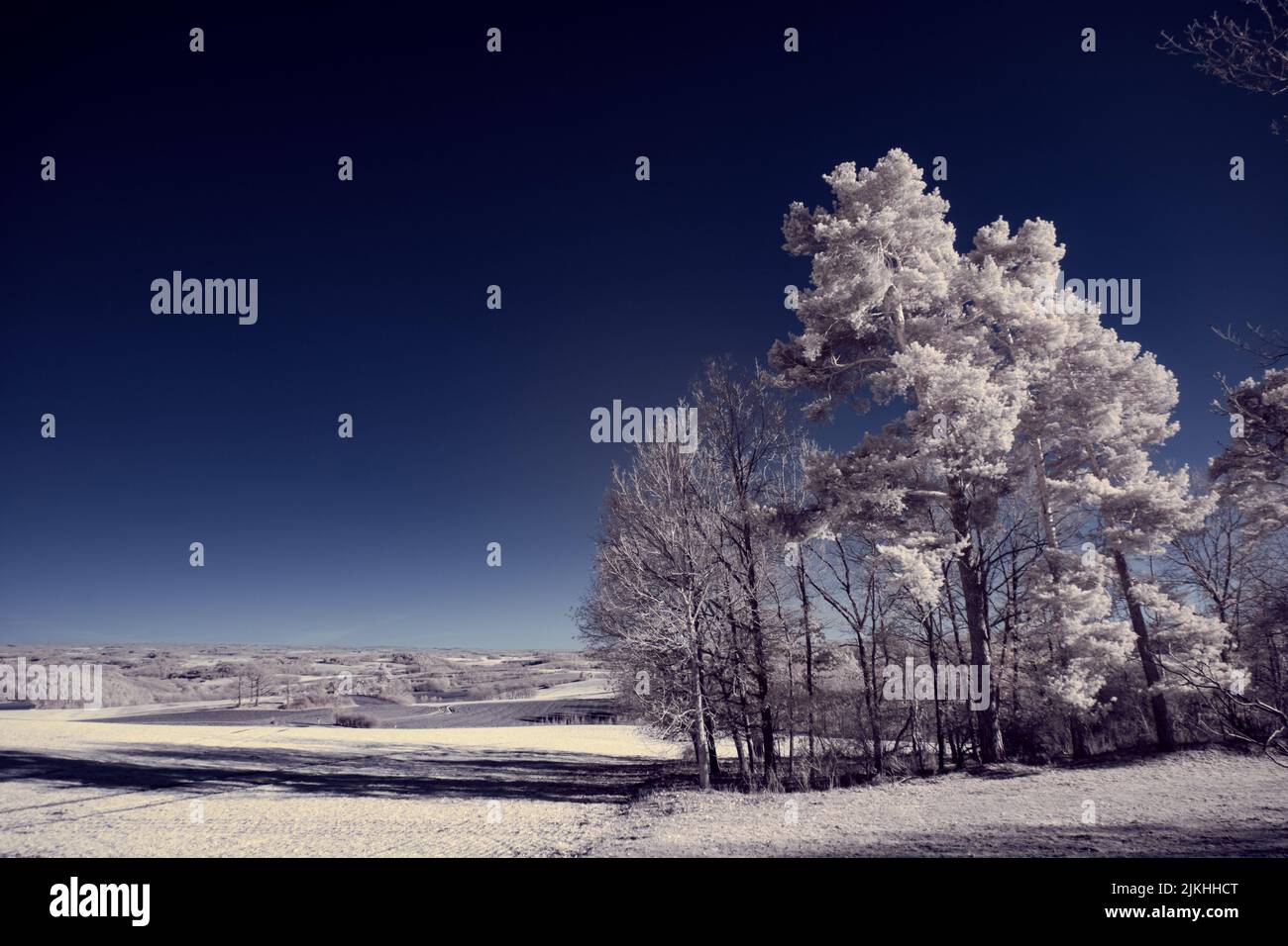 A landscape with snowy trees under sky with clouds Stock Photo - Alamy