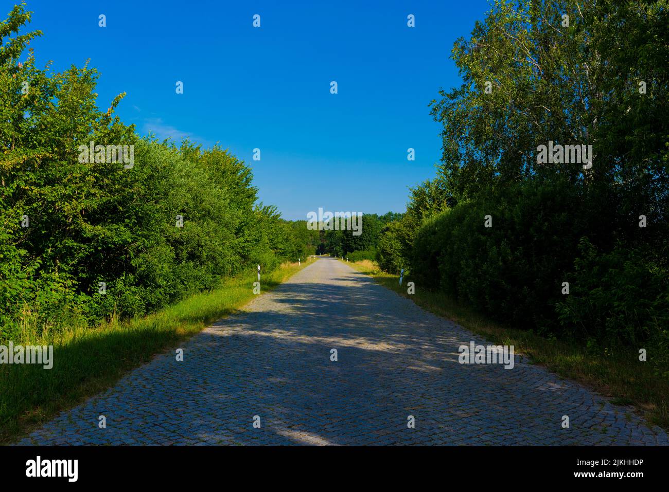 Paved country road in summer in Germany, few clouds in the sky Stock Photo