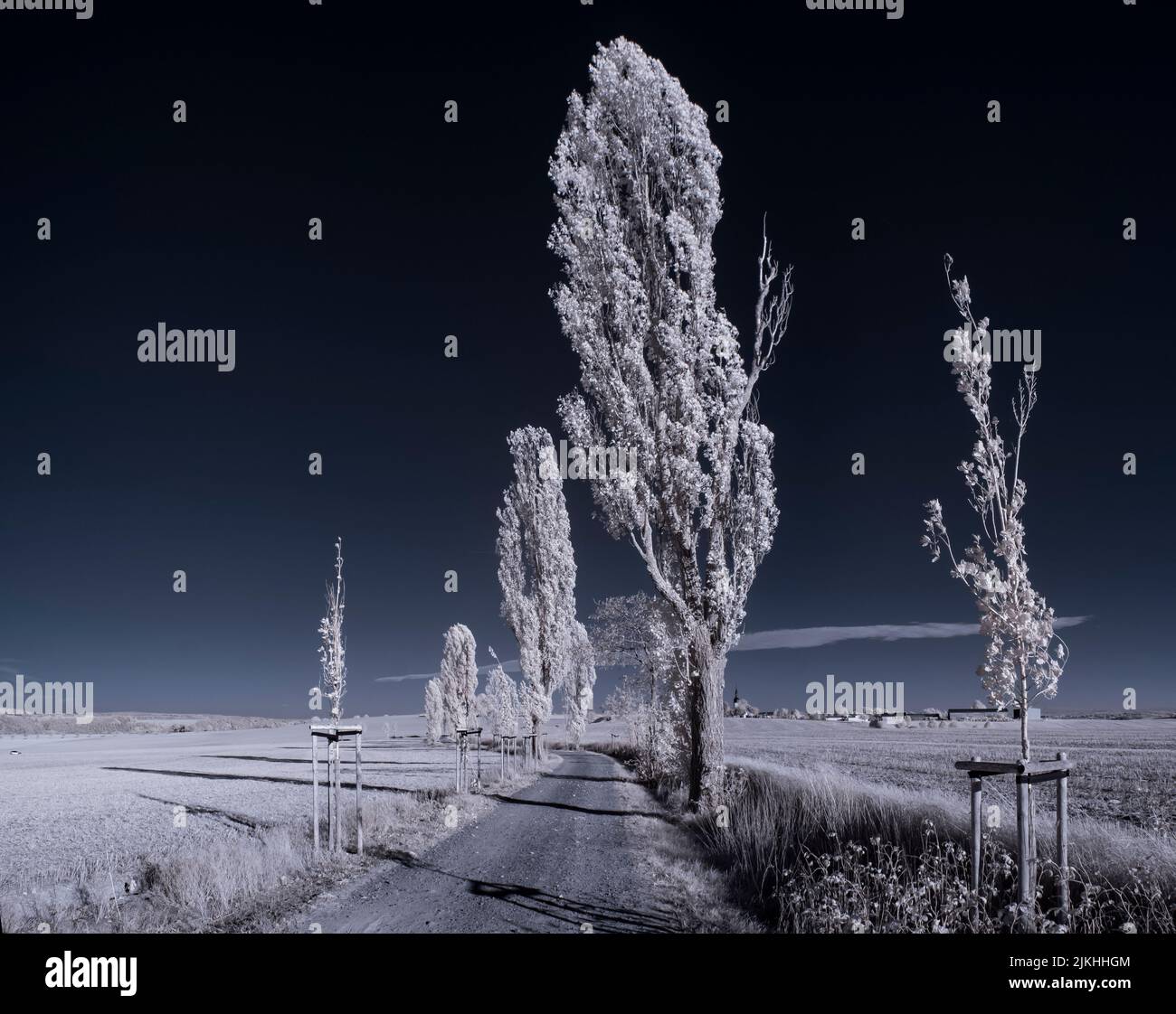 A landscape with snowy trees under sky with clouds Stock Photo - Alamy