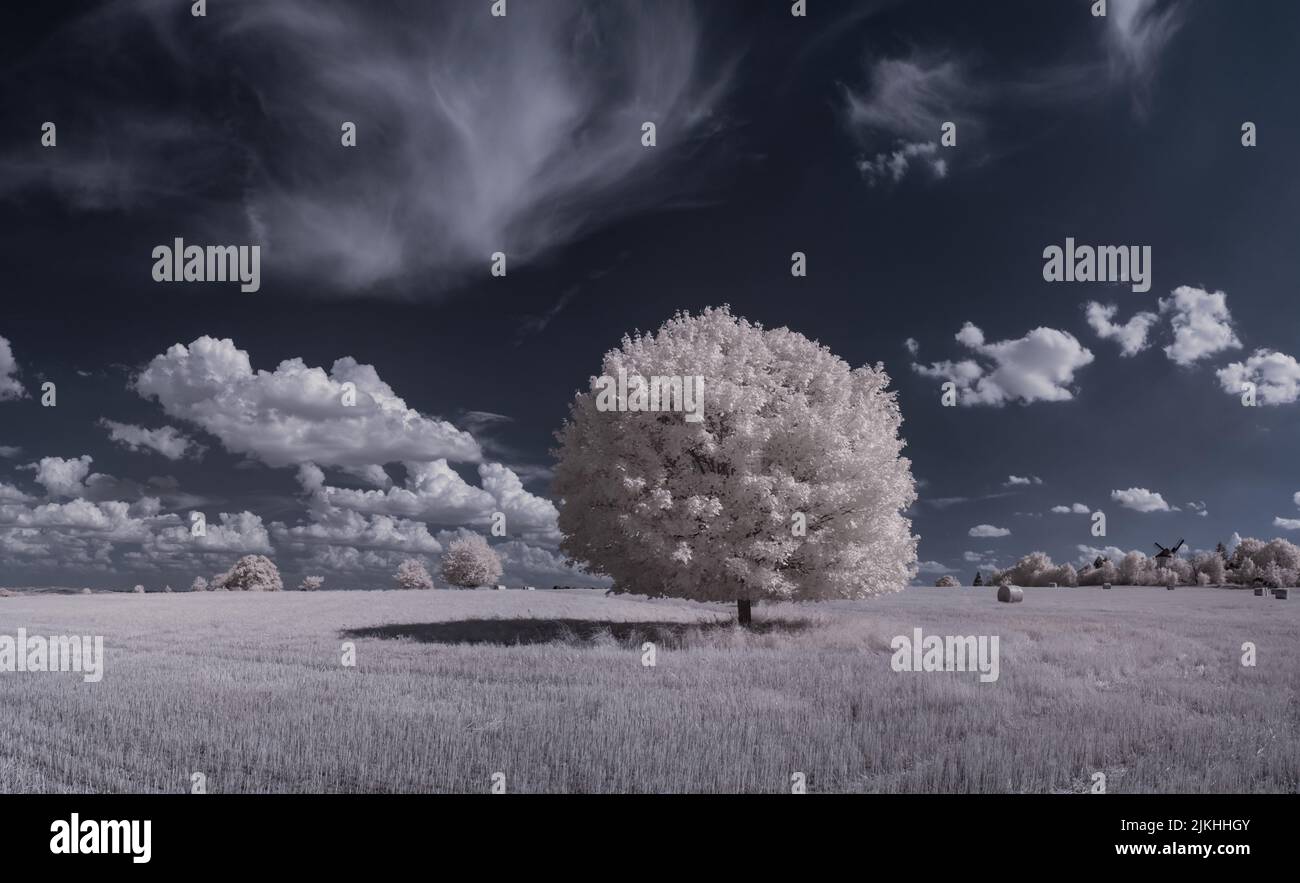 A landscape with snowy trees under sky with clouds Stock Photo - Alamy