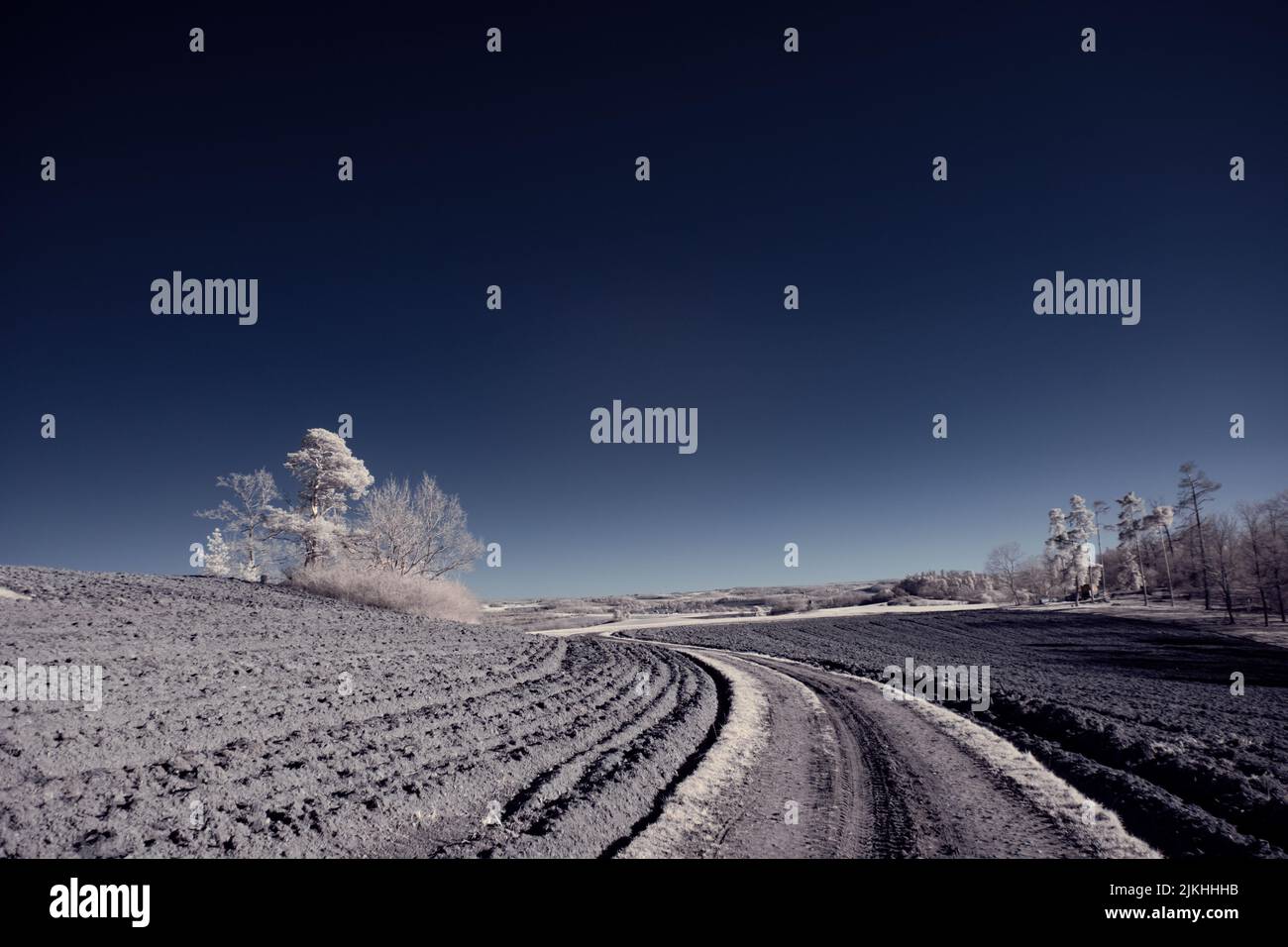 A landscape with snowy trees under sky with clouds Stock Photo - Alamy