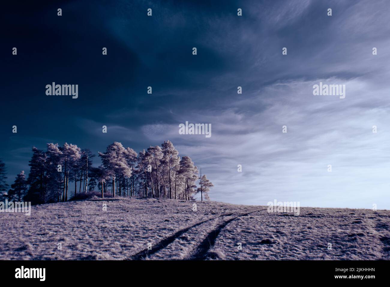 A landscape with snowy trees under sky with clouds Stock Photo - Alamy