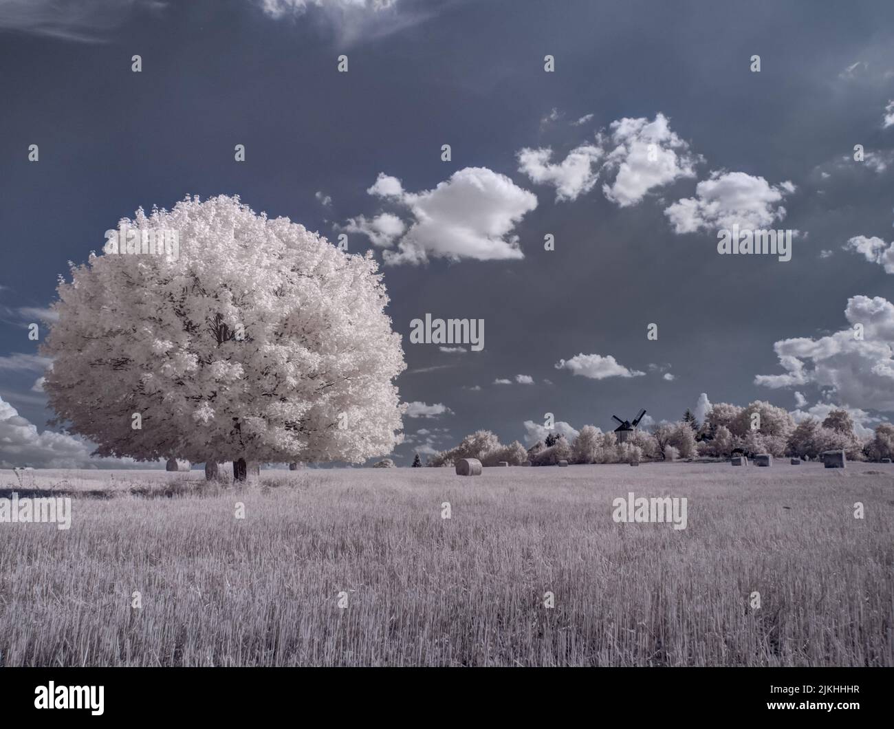 A landscape with snowy trees under sky with clouds Stock Photo - Alamy