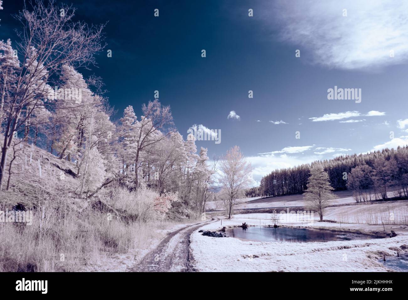 A landscape with snowy trees under sky with clouds Stock Photo - Alamy