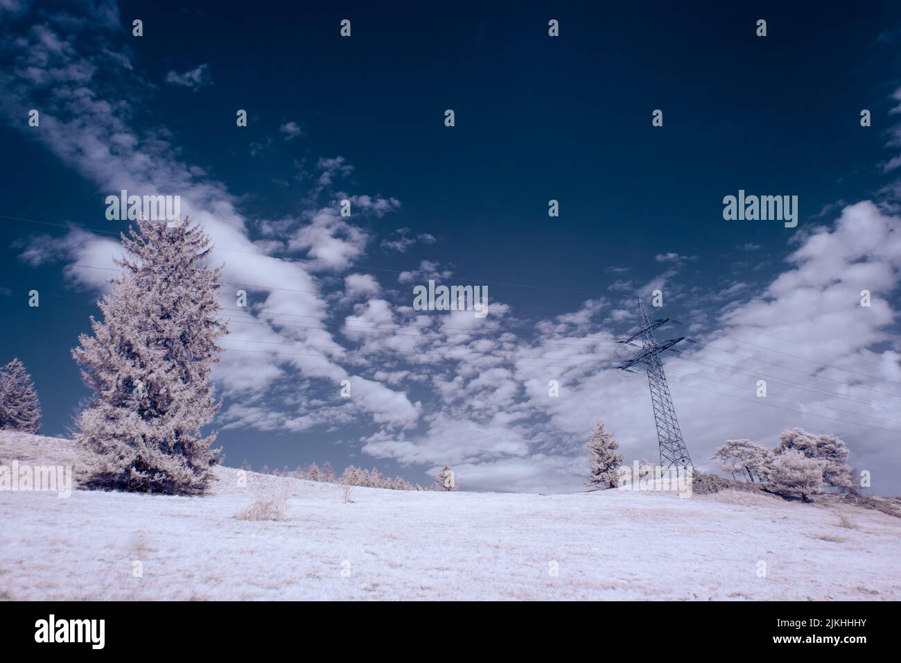 A landscape with snowy trees under sky with clouds Stock Photo - Alamy