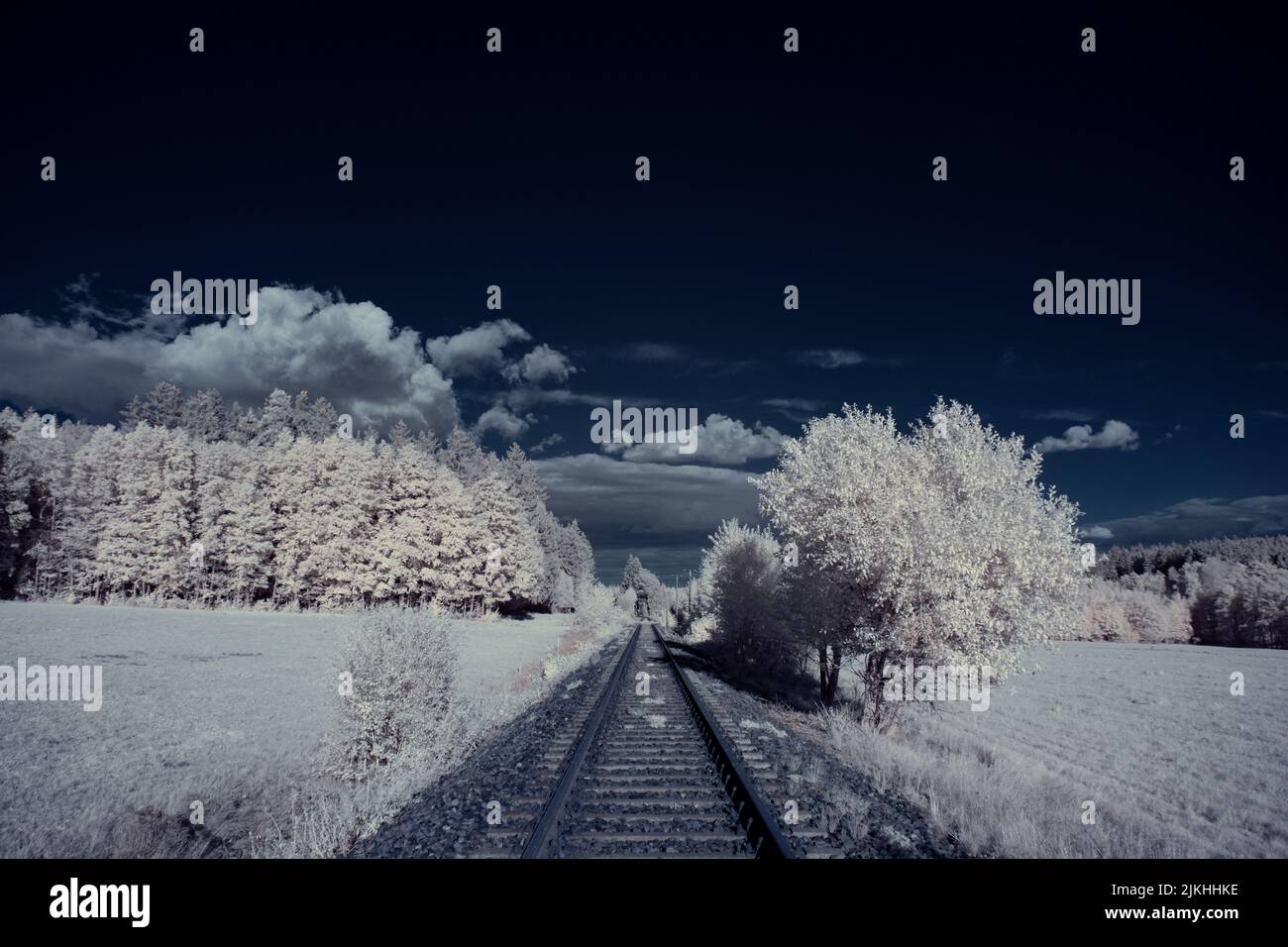 A landscape with snowy trees under sky with clouds Stock Photo - Alamy