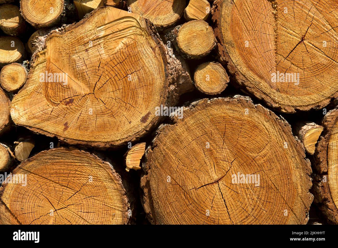 Stacked firewood from larch trees with different diameters of the branches and the tree trunks, Valais, Switzerland. Stock Photo