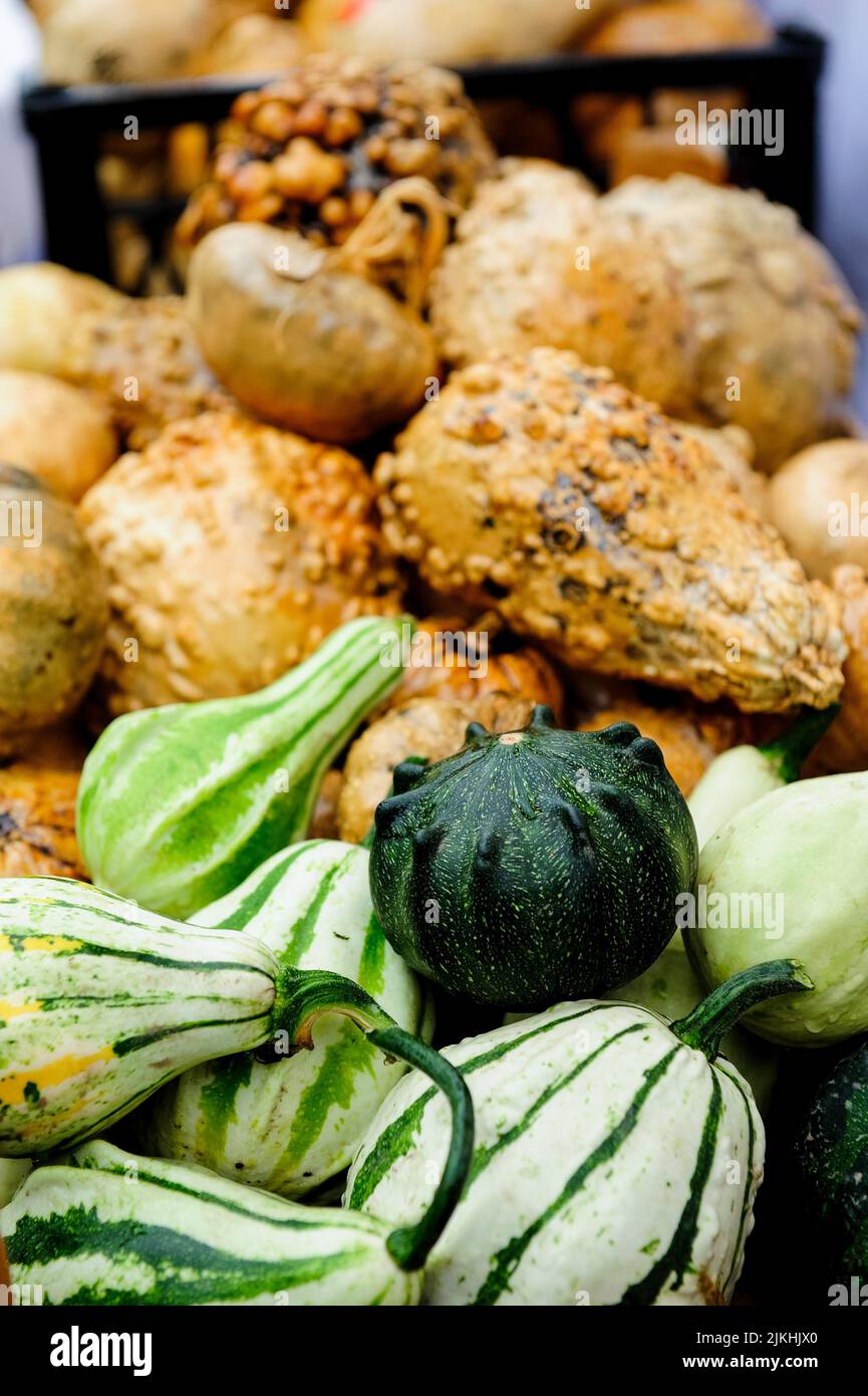 A pile of freshly harvested pumpkins Stock Photo - Alamy