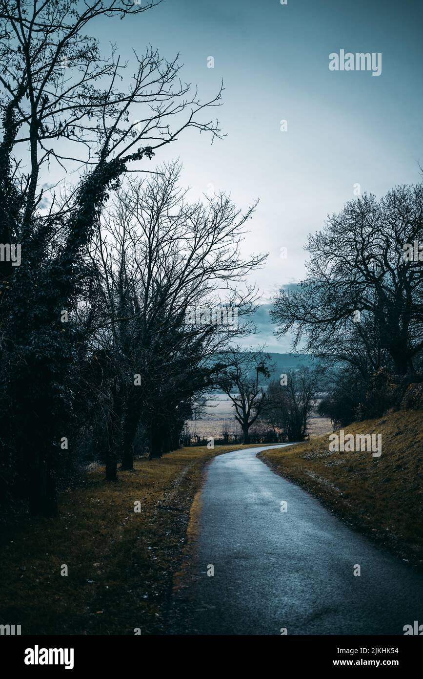 A vertical shot of a narrow rainy road surrounded by trees Stock Photo ...