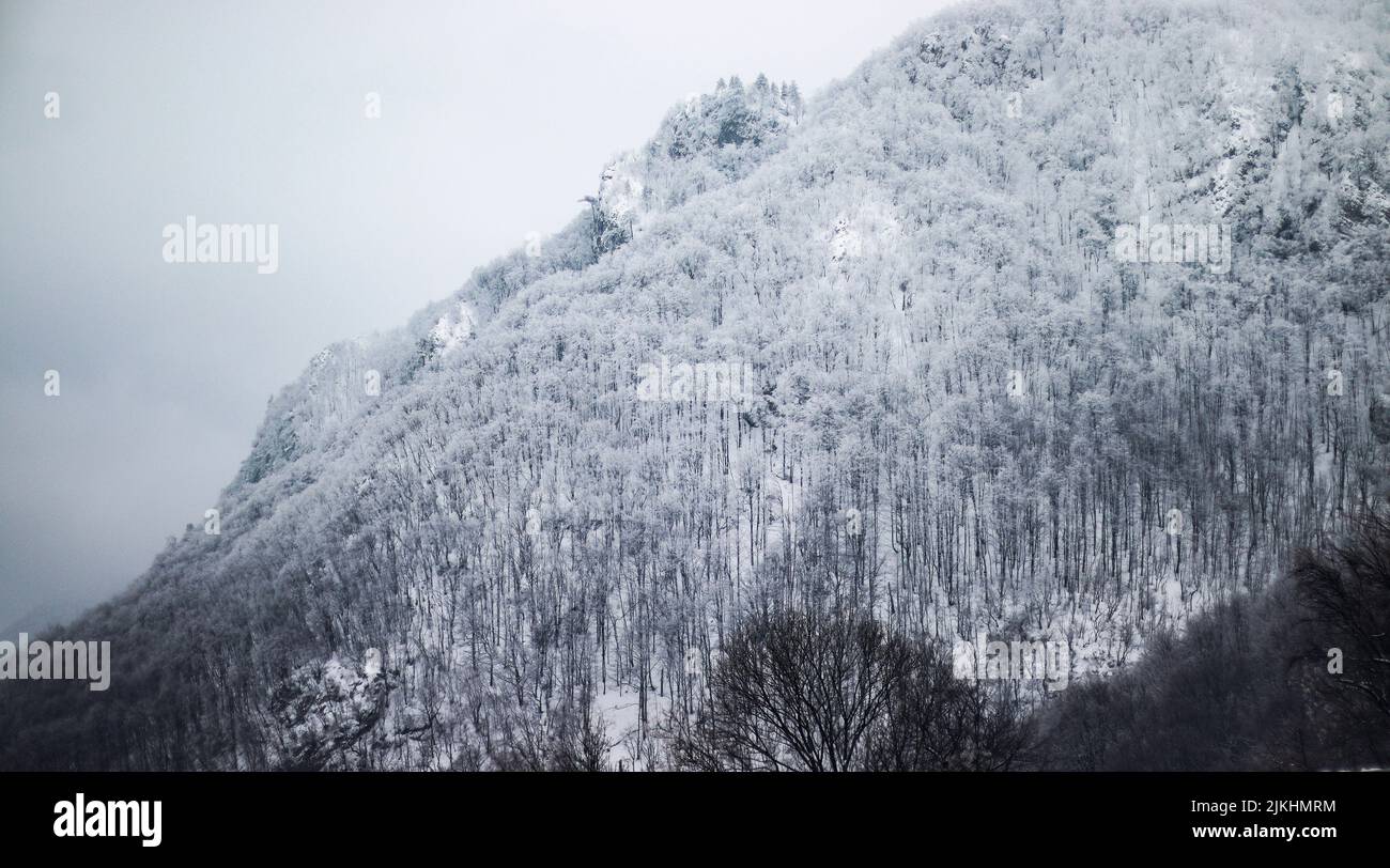 A mountainous forest covered with snow in winter Stock Photo