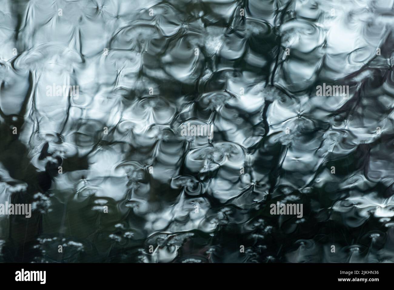 Rain drops on window , rainy day Stock Photo