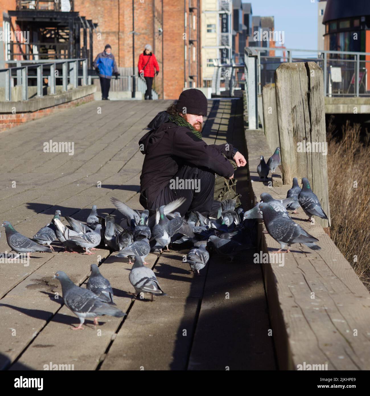 A man feeding a group of pigeons on the riverfront of Hull Stock Photo