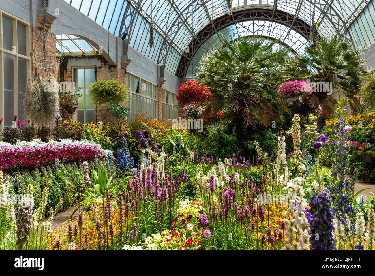 Beautiful flowers at the Domain Wintergardens in Auckland, New Zealand