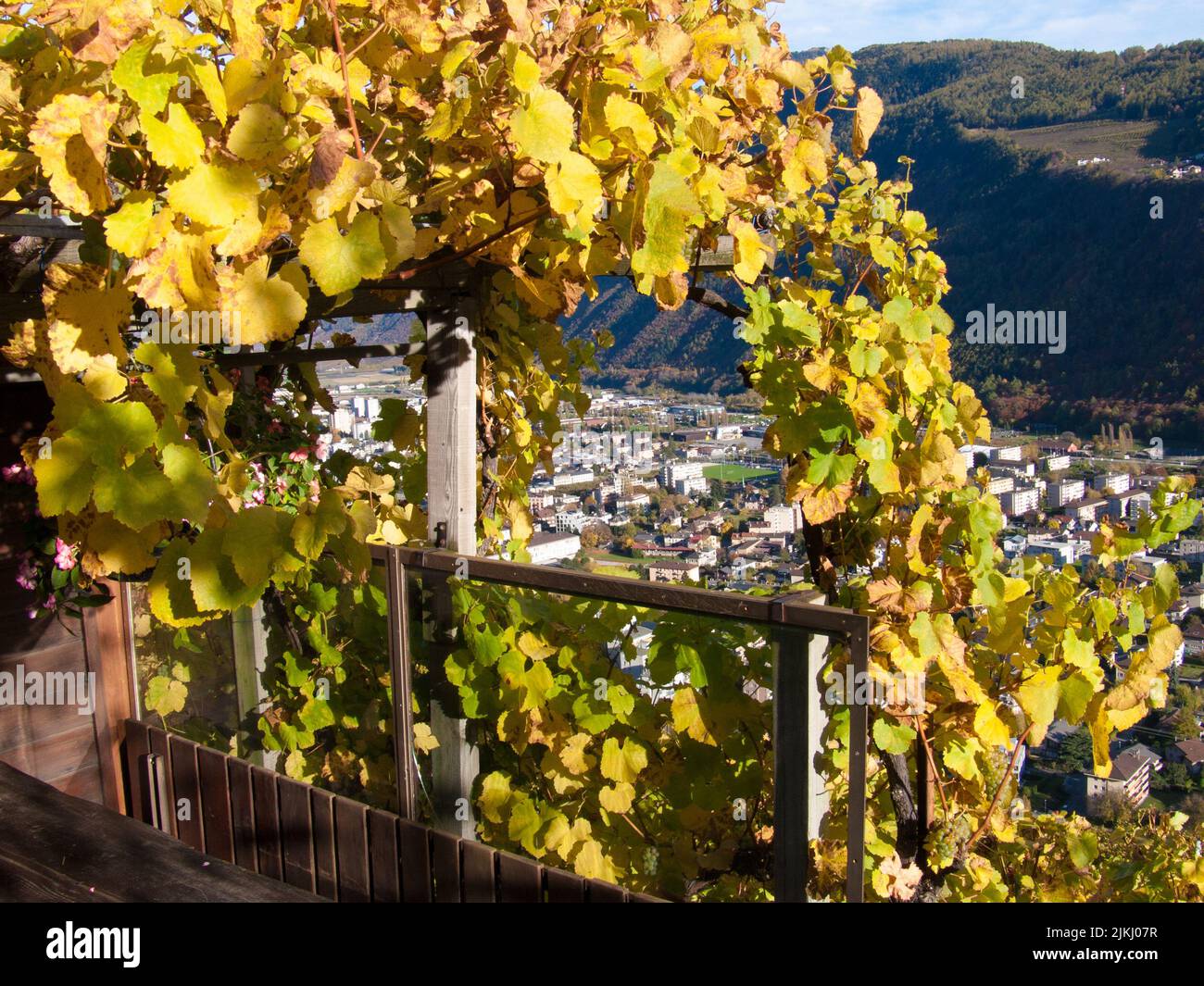An aerial view of the skyline through trees in Sion, Switzerland Stock