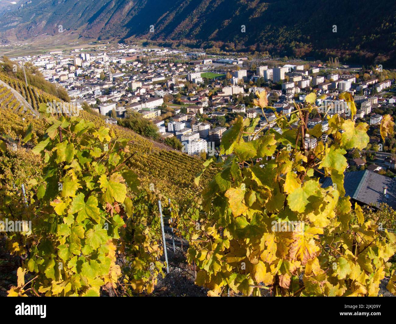 An aerial view of the skyline through trees in Sion, Switzerland Stock