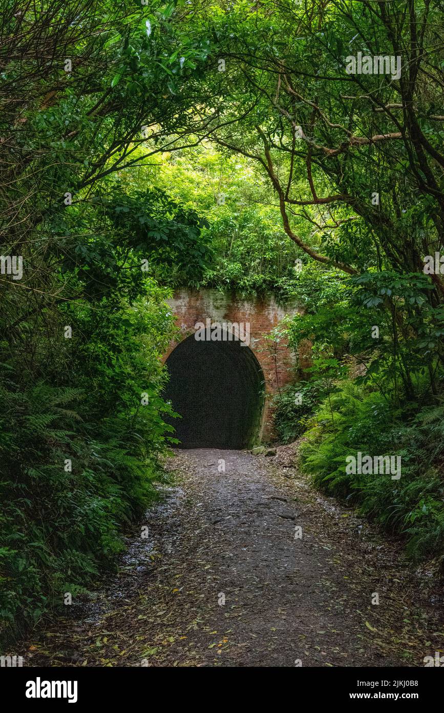 Hiking to Tunnel hill near Owaka, South Island of New Zealand Stock