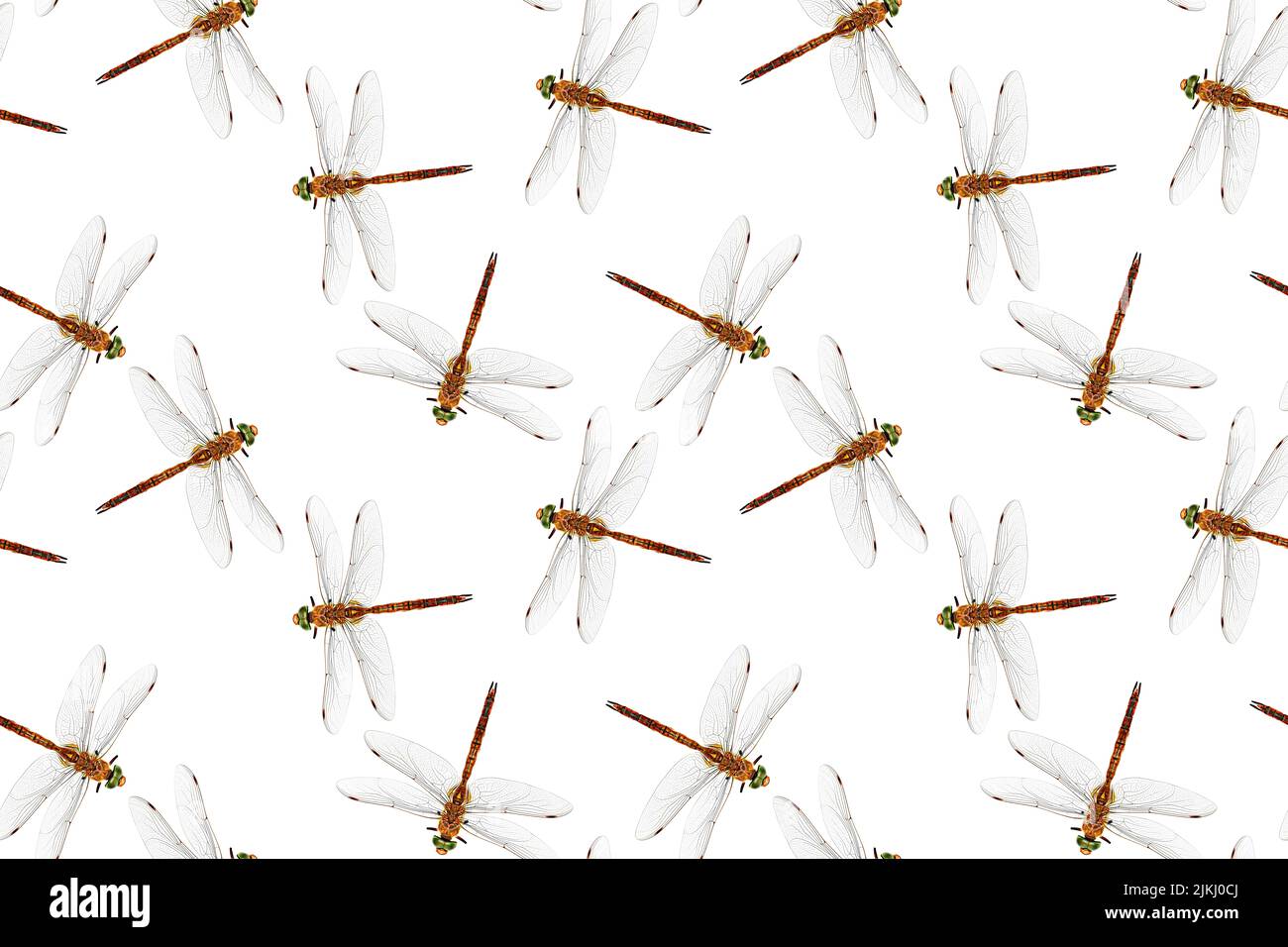 Photo stylized dragonfly isolated on white background. Seamless pattern. Repeating texture. Stock Photo