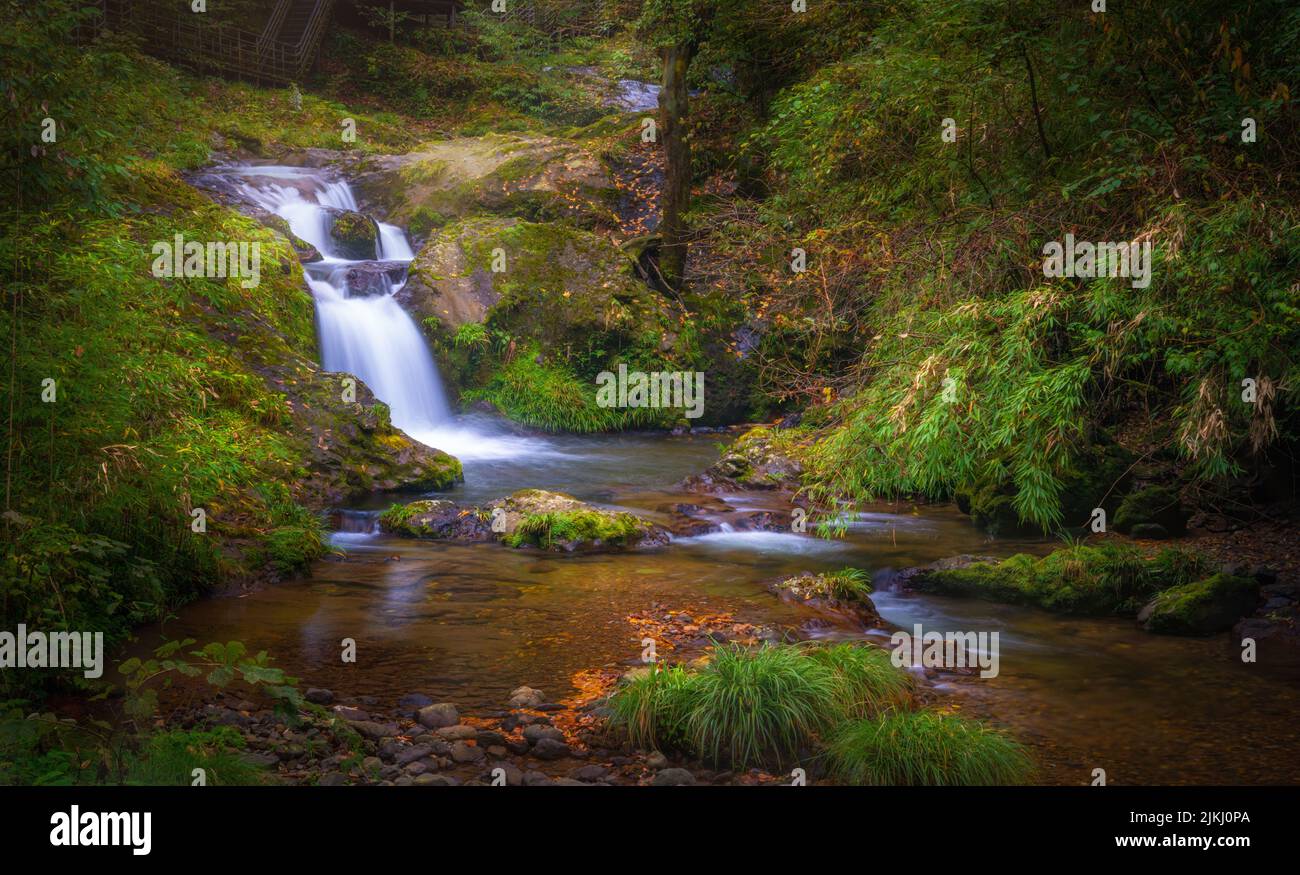 Flora stream waterfall landscape hi-res stock photography and images ...