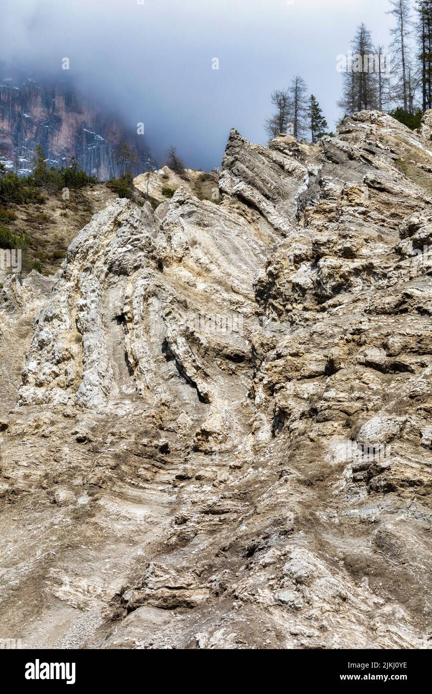 Italy, Trentino Alto Adige, Trento, San Martino di Castrozza, Paneveggio and Pale di San Martino Natural Park. The Bellerophon formation near the Rolle pass Stock Photo