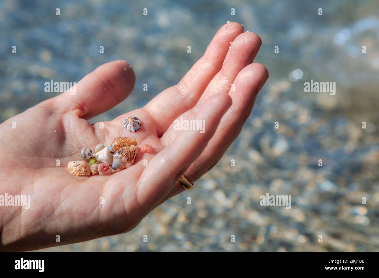 Spain, Balearic islands, Mallorca, municipality of Manacor, Cales de Mallorca, Cala Murada, Female hand with shells collected on the shore Stock Photo