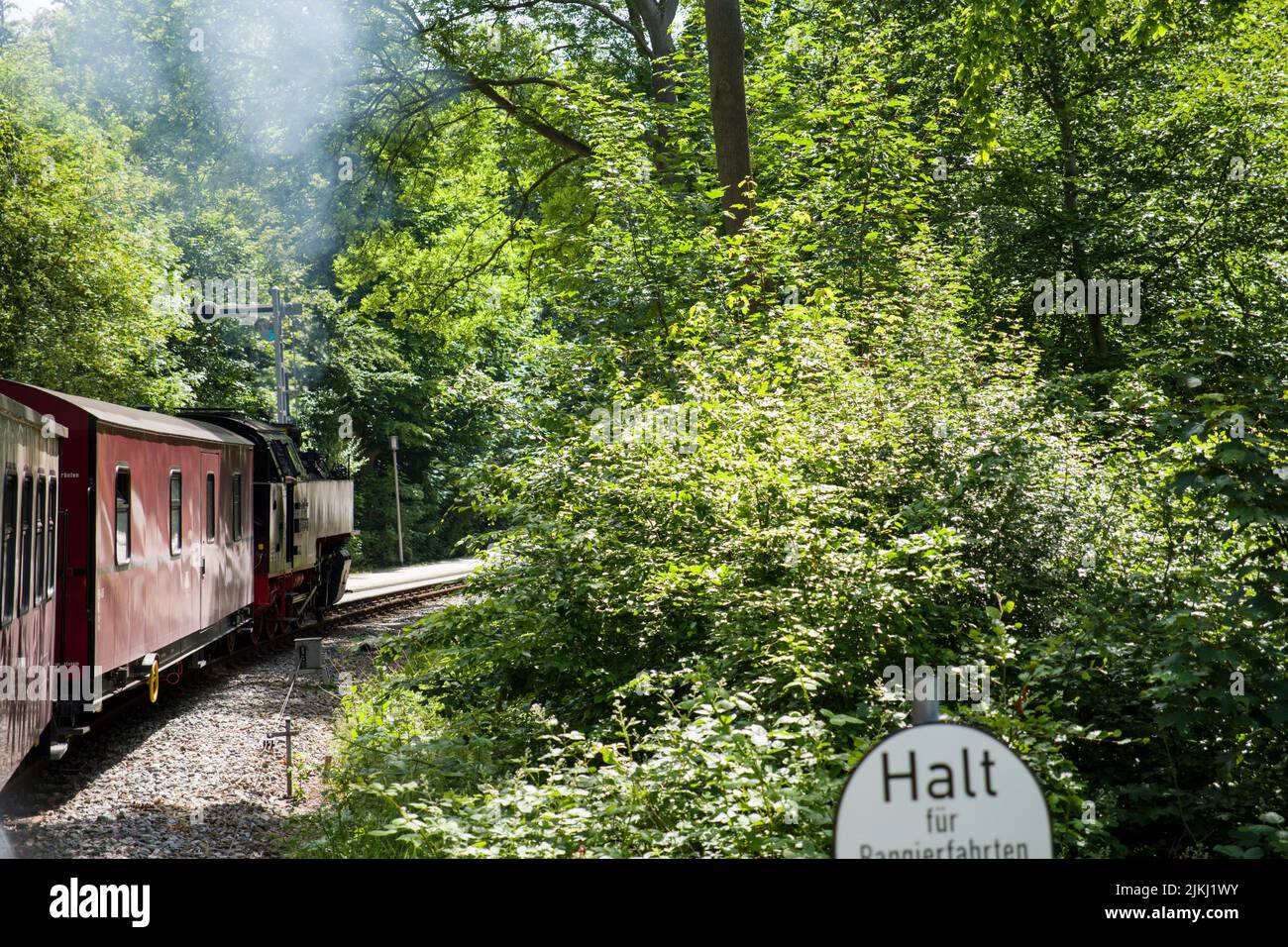 Steam railroad, Molli, narrow gauge railroad, railroad, station, Kühlungsborn-West, Mecklenburg-Western Pomerania Stock Photo
