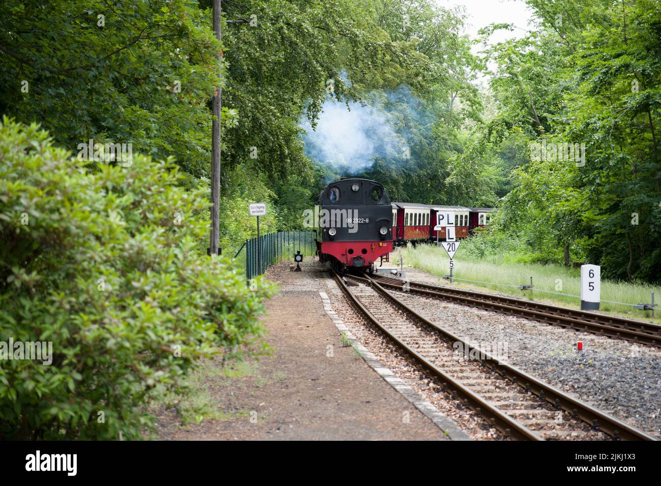 Steam railroad, Molli, narrow gauge railroad, railroad, station, Kühlungsborn-West, Mecklenburg-Western Pomerania Stock Photo