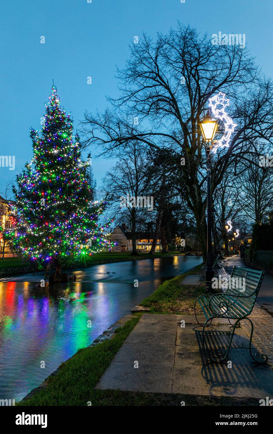 The Christmas tree in the river at BourtonontheWater in The Cotswolds Stock Photo Alamy