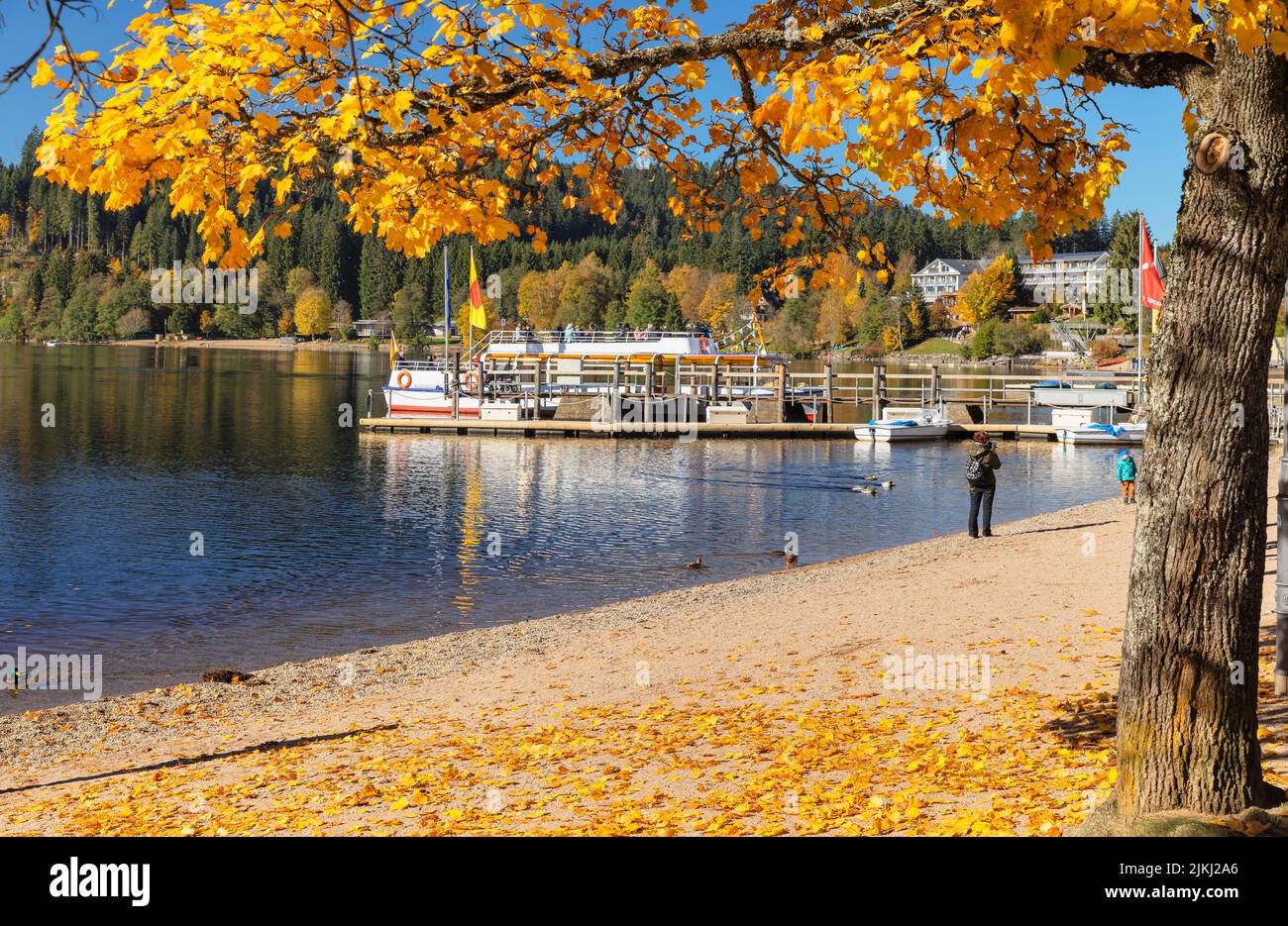 Excursion boat on Titisee in autumn, Black Forest, Baden-Württemberg, Germany Stock Photo
