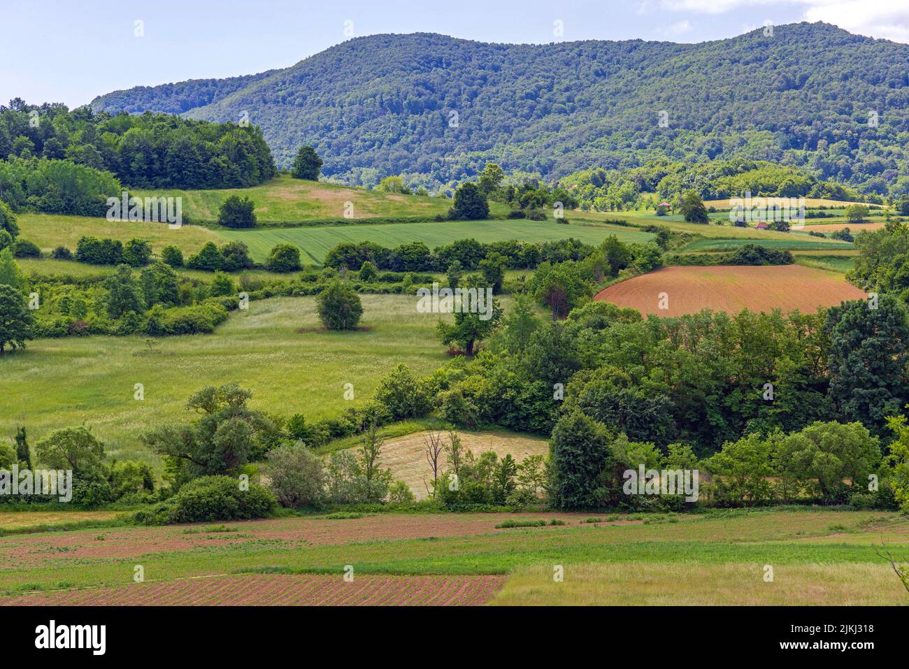 Green Hills at Spring Landscape in West Serbia Stock Photo