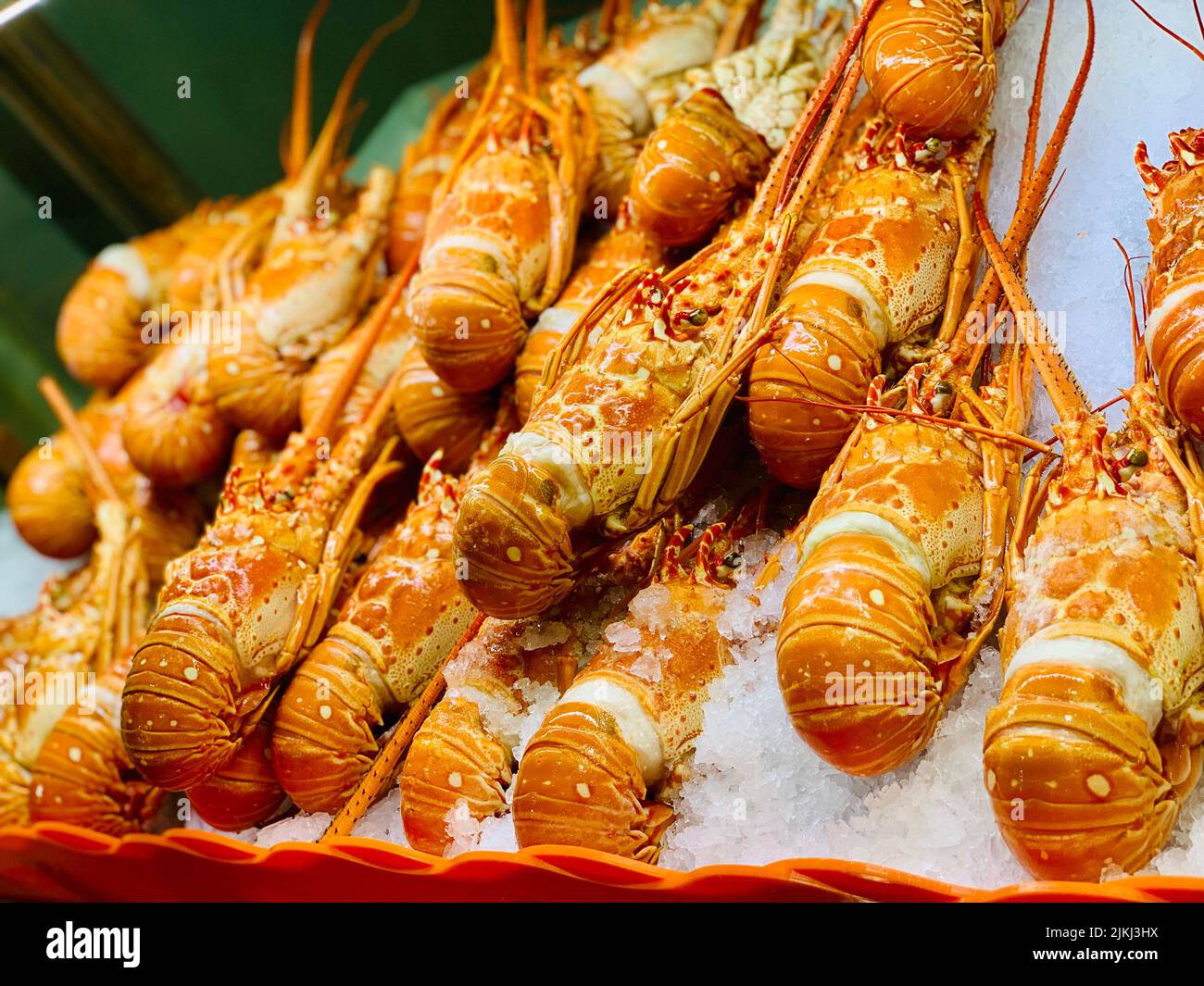 Cooked orange lobsters displayed in a seafood shop Stock Photo Alamy