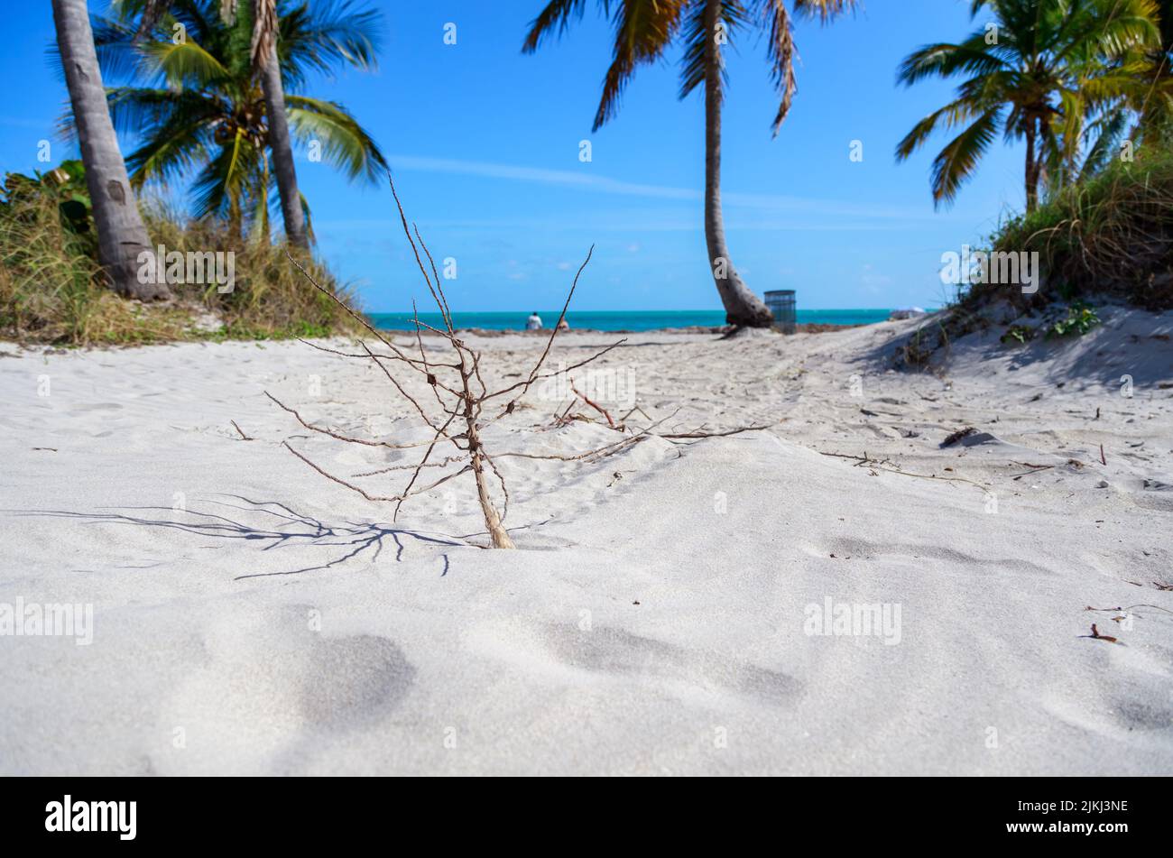A beautiful view of the sandy beach on the coast of Florida Stock Photo