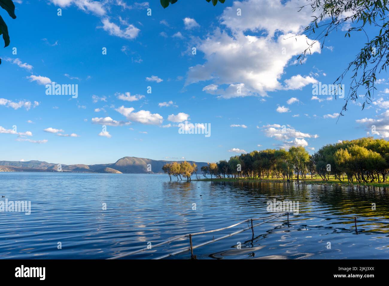 Erhai park hi-res stock photography and images - Alamy