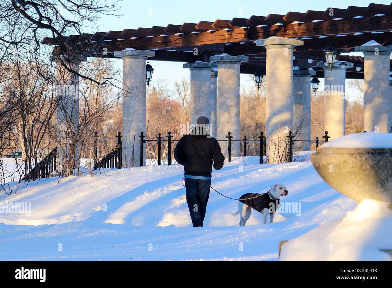 A scenic shot of a dog owner with his labrador out in the snowy park in Banff, Alberta, Canada Stock Photo
